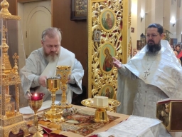 Рождество 24